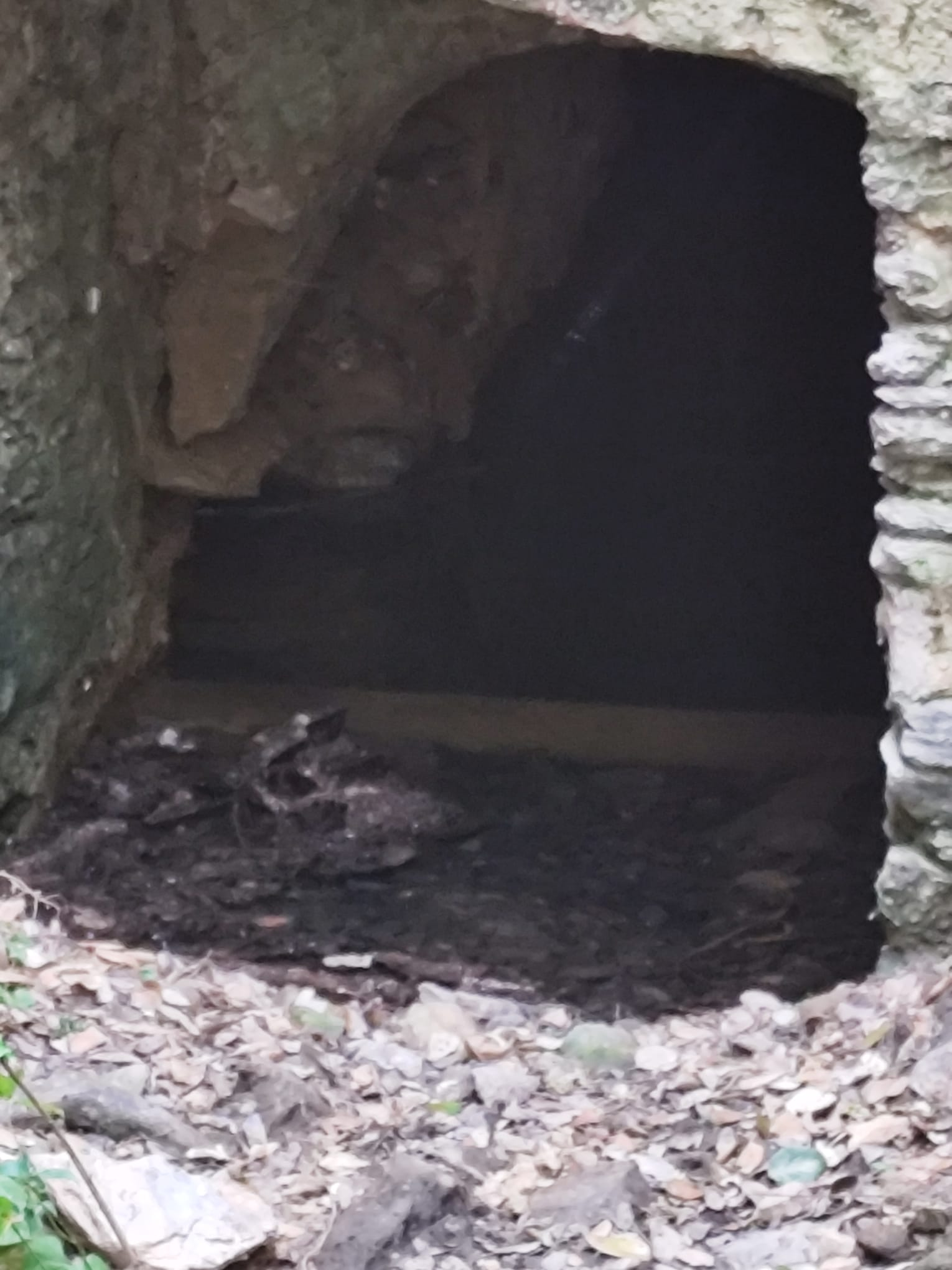 Pormenor do interior escuro da Fonte do Sétil, fotografado a partir do acesso, com pedras, folhas e detritos acumulados no chão.