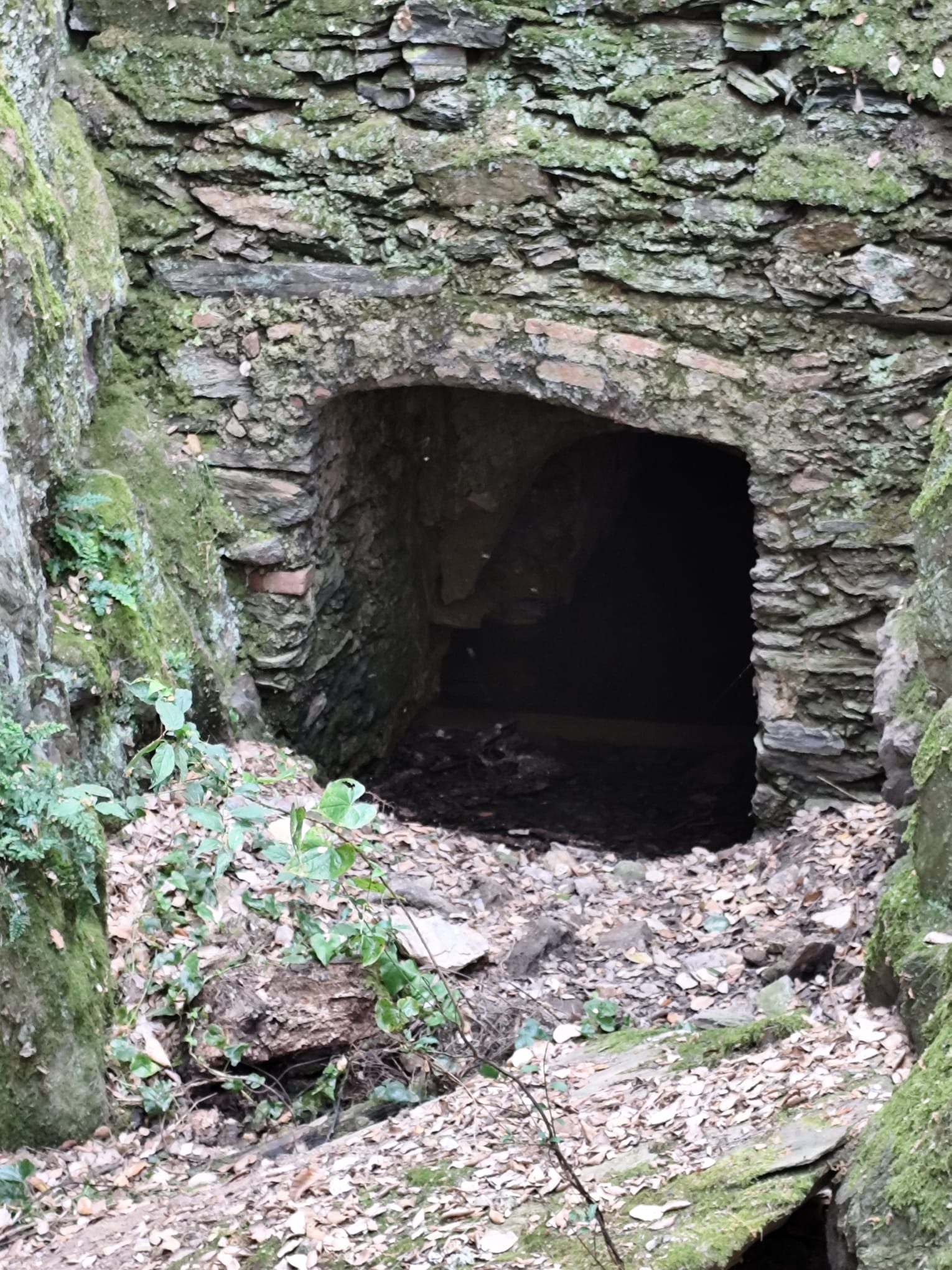 Entrada em arco da Fonte do Sétil, com alvenaria de pedra irregular rodeada de vegetação.