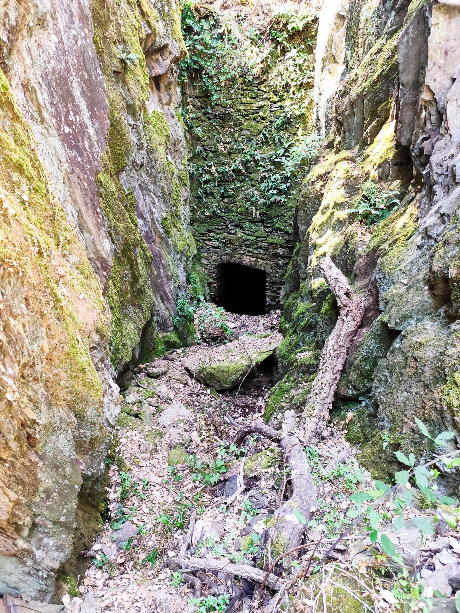 Acesso à Fonte do Sétil entre paredes de rocha e muros de pedra, com vegetação densa e a abertura da estrutura ao fundo.